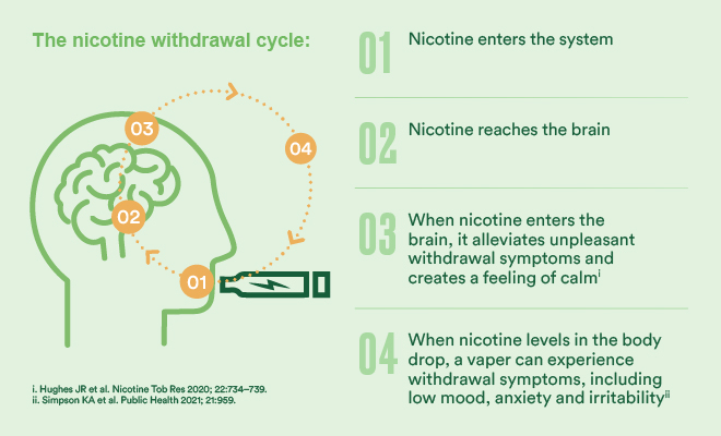 Nicotine withdrawal cycle